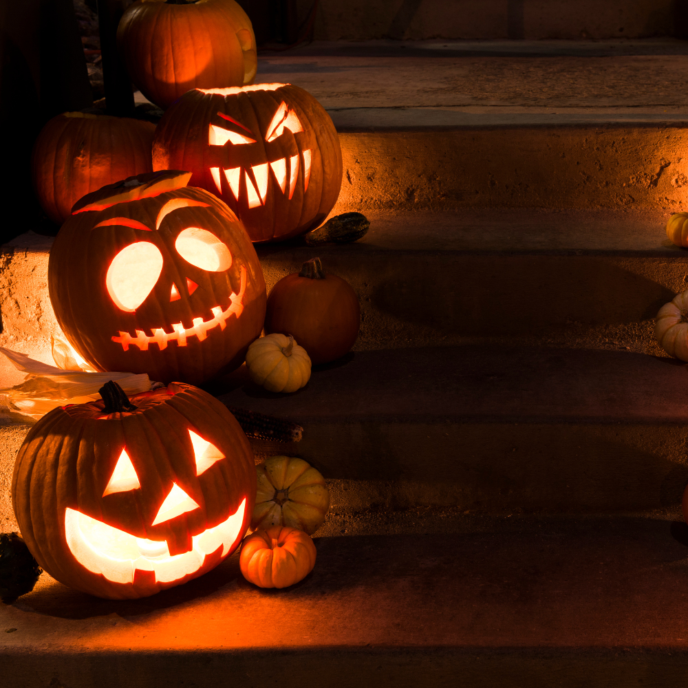 Årstider och tillfällen