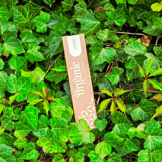 Incense sticks "Jasmine" Song of India-Organic