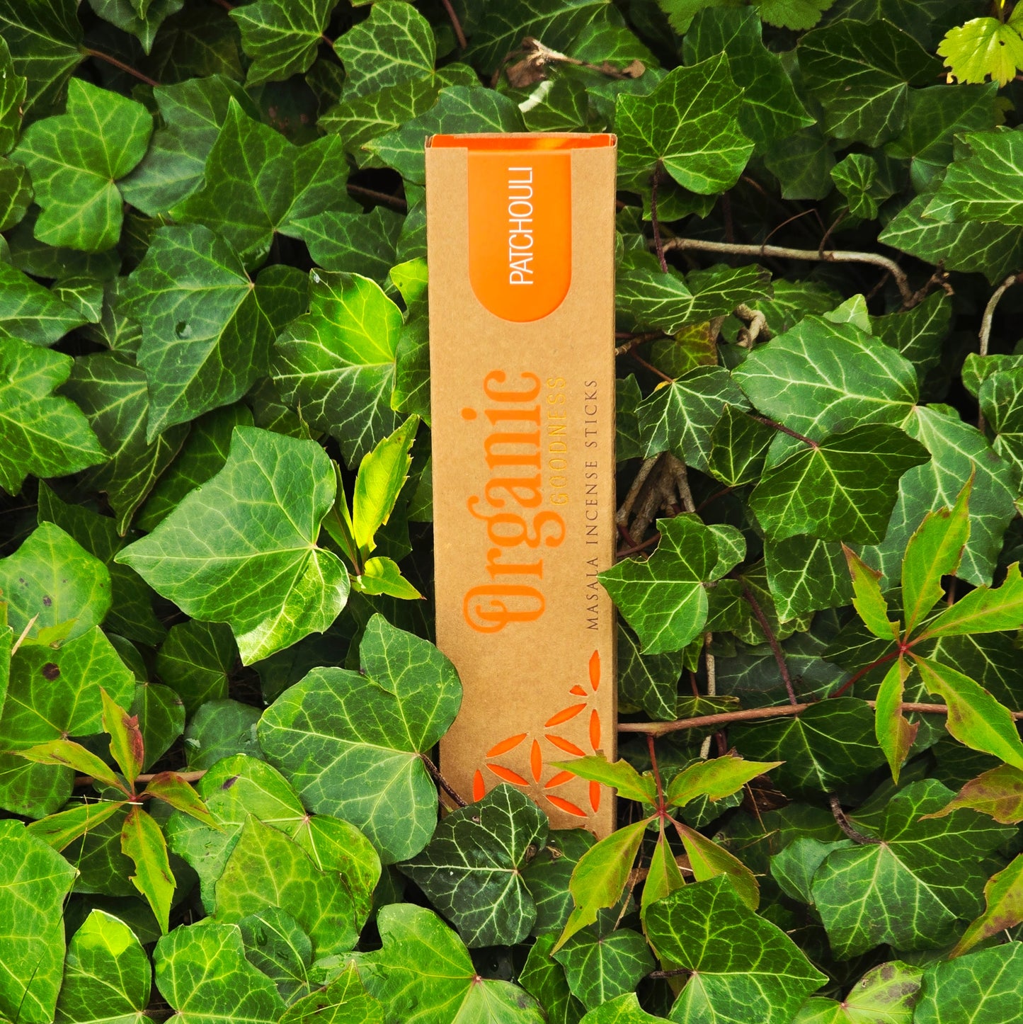 Räucherstäbchen "Patchouli" Song of India - Bio