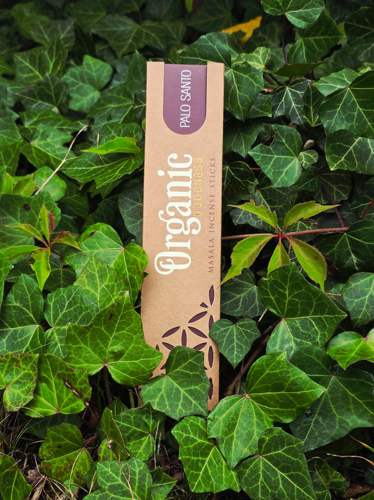 Incense sticks "Palo Santo" Song of India-Organic