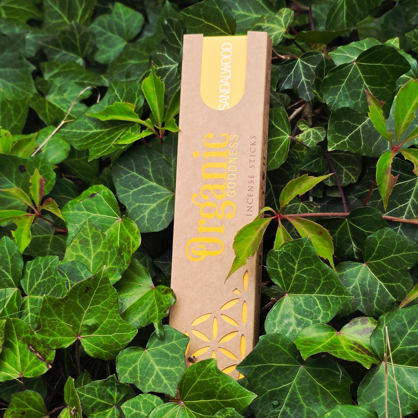 Räucherstäbchen "Sandelholz" Song of India-Bio