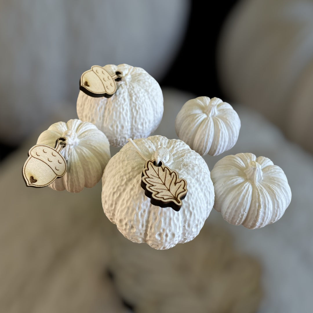 Dekorative Kürbisse